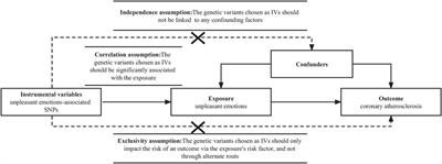 Using Mendelian randomization analysis to determine the causal connection between unpleasant emotions and coronary atherosclerosis